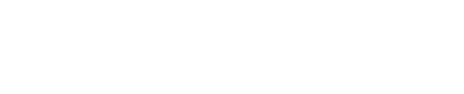 logo2